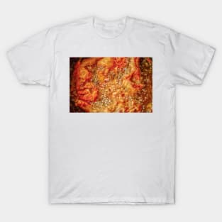 cli fried chicken T-Shirt
